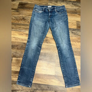 Ashley Denim Skinny Jeans